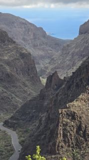 2024-11-GranCan-Guayadeque-051.jpg